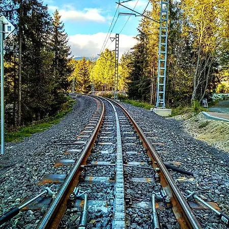 Jediny * גולובינקה