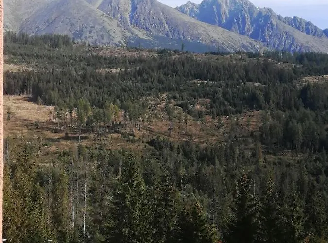 Jediný Tatranska Strba